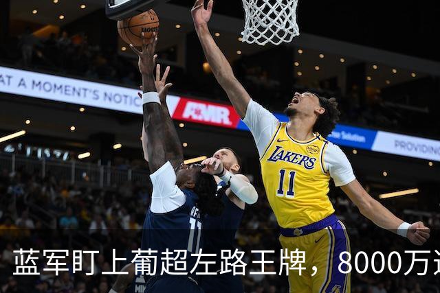 蓝军盯上葡超左路王牌，8000万违约金拦着，切尔西却已经敲门了